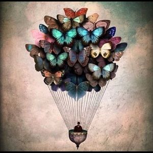 Meet your Posher, Rox